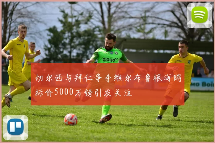 切尔西与拜仁争夺维尔布鲁根海鸥标价5000万镑引发关注